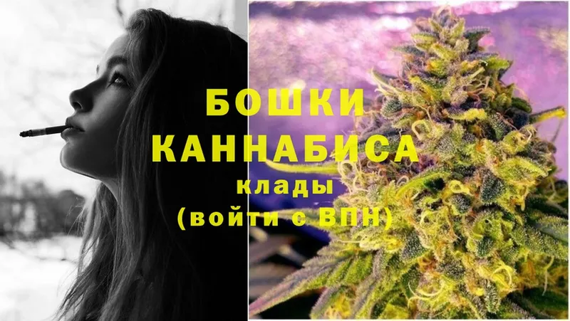 Бошки Шишки сатива  kraken ONION  Новороссийск  продажа наркотиков 